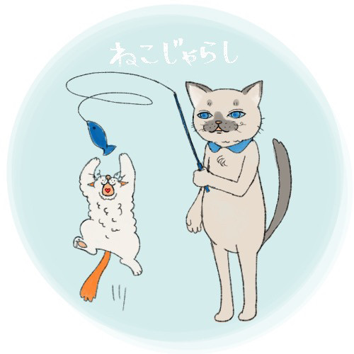 猫をじゃらす、猫。