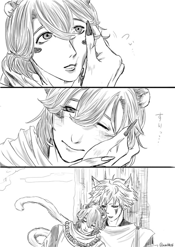 たぬきとねこ