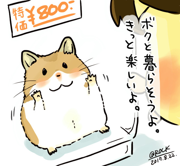 私とハムの物語
