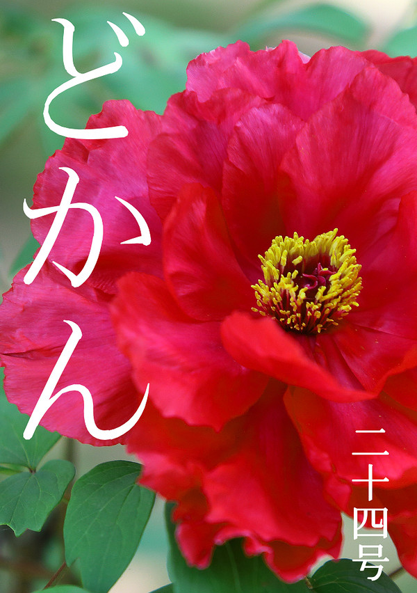 文章本『どかん二十四号』サンプル