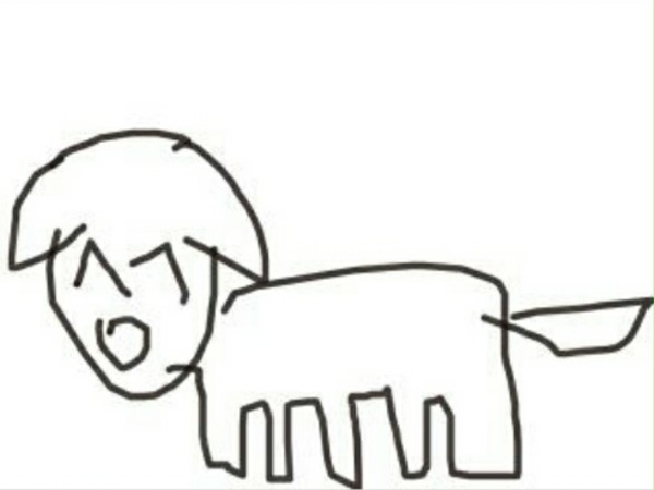 犬