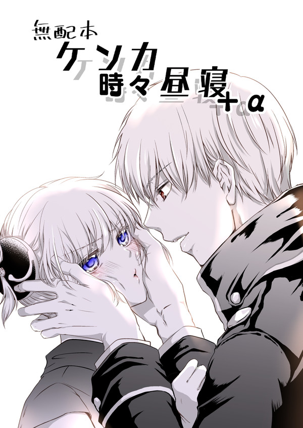 【インテ無配本】ケンカ時々昼寝 ＋α【沖神】