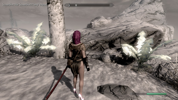 Skyrim