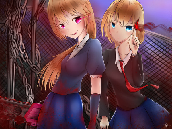 Twin killers