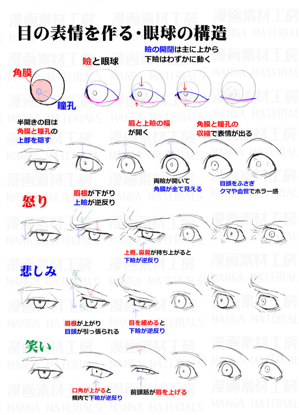 表情の作り方・目と口の表情、表情筋+骨格の考え方 - 1/6