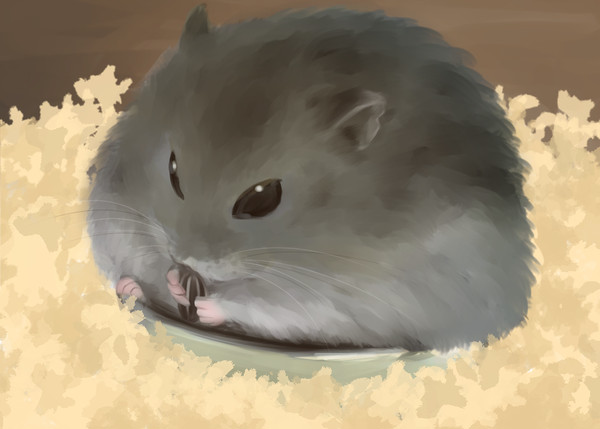 🐹