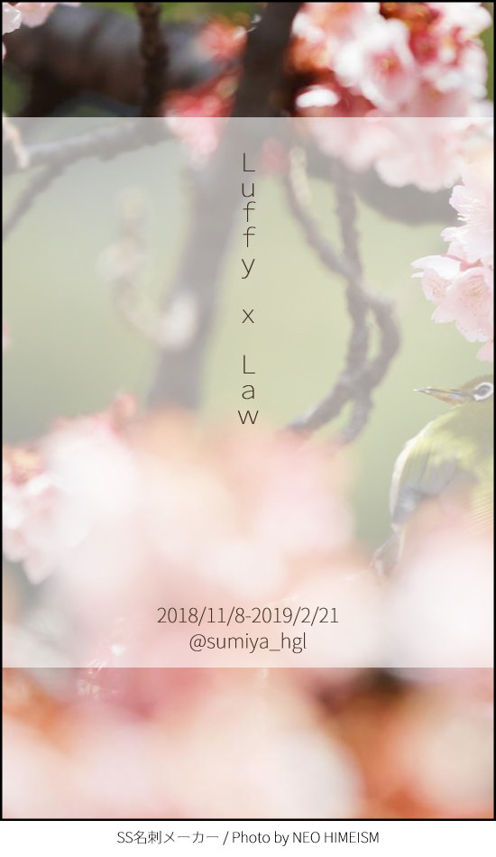 【OP】ルロー名刺SS集⑦