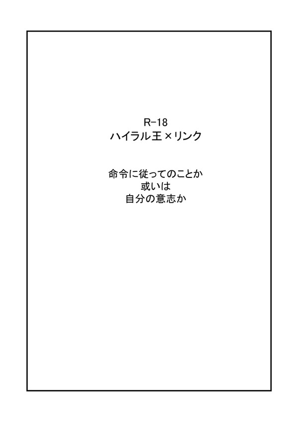 ハイラル王×リンク 命令に従ってのことか 或いは 自分の意志か