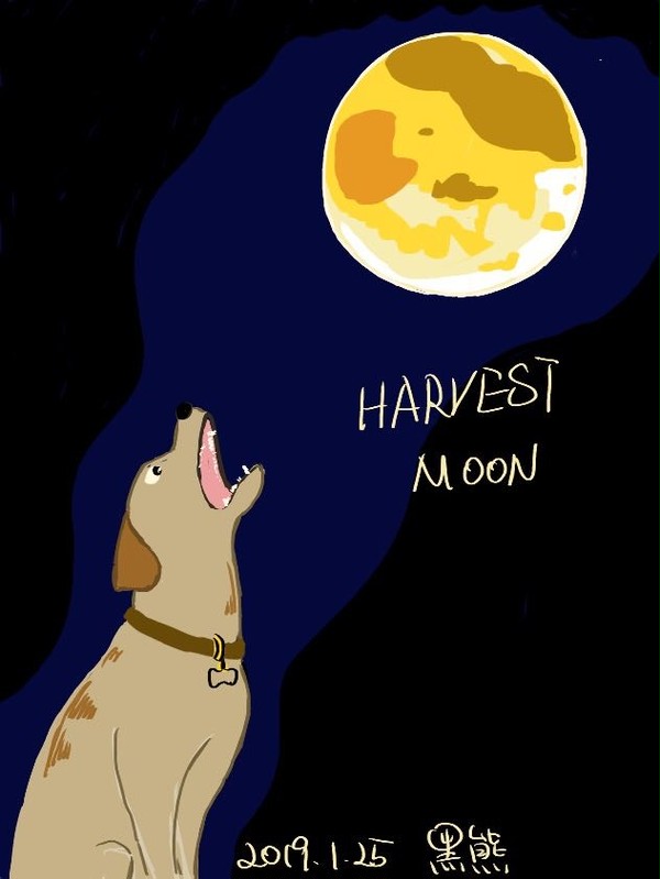 HARVEST MOON