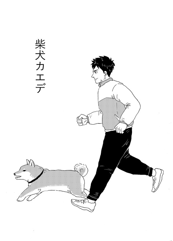【流三】柴犬カエデ