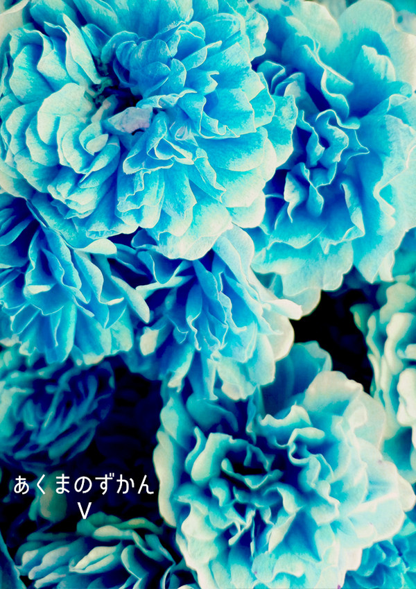 あくまのずかん Ⅴ