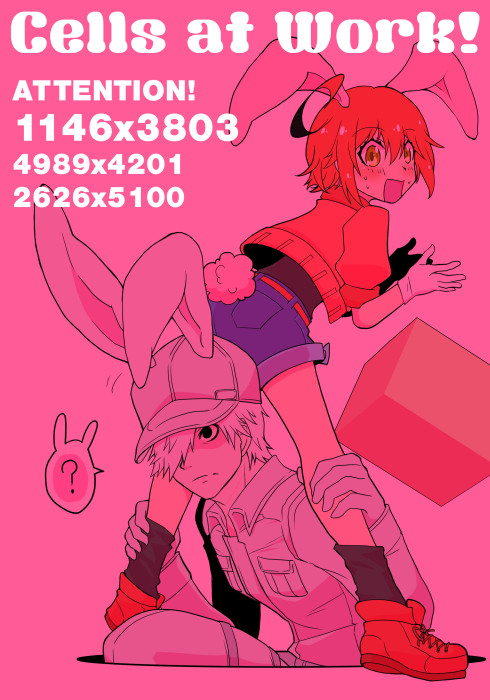 細胞詰め04