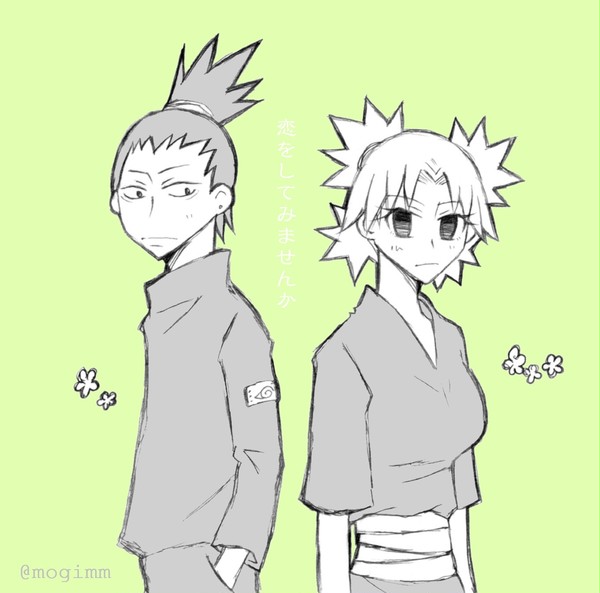 シカテマまとめ④