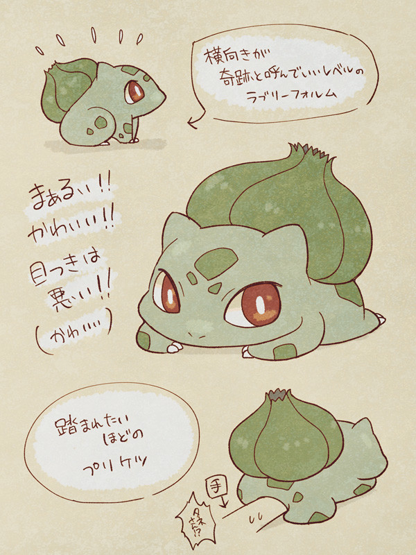 フシギダネが大好き