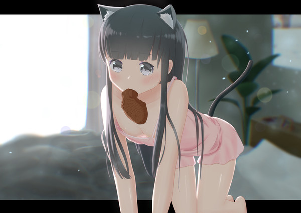 夕依にゃんこ