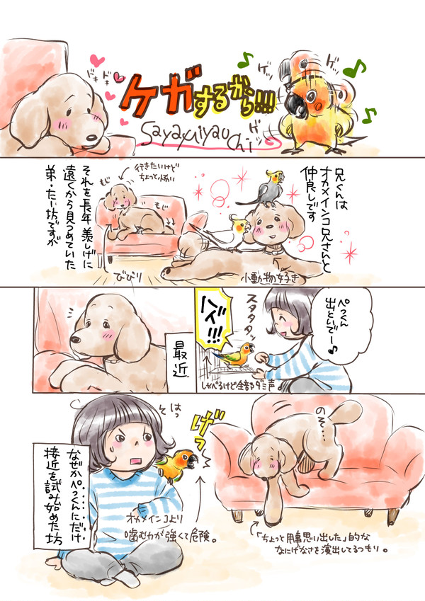 【創作】実録イヌマンガ／ケガするから!!!