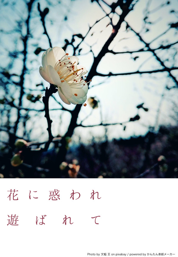 【CYY!R】奏純小説頒布のお知らせ【サンプル】