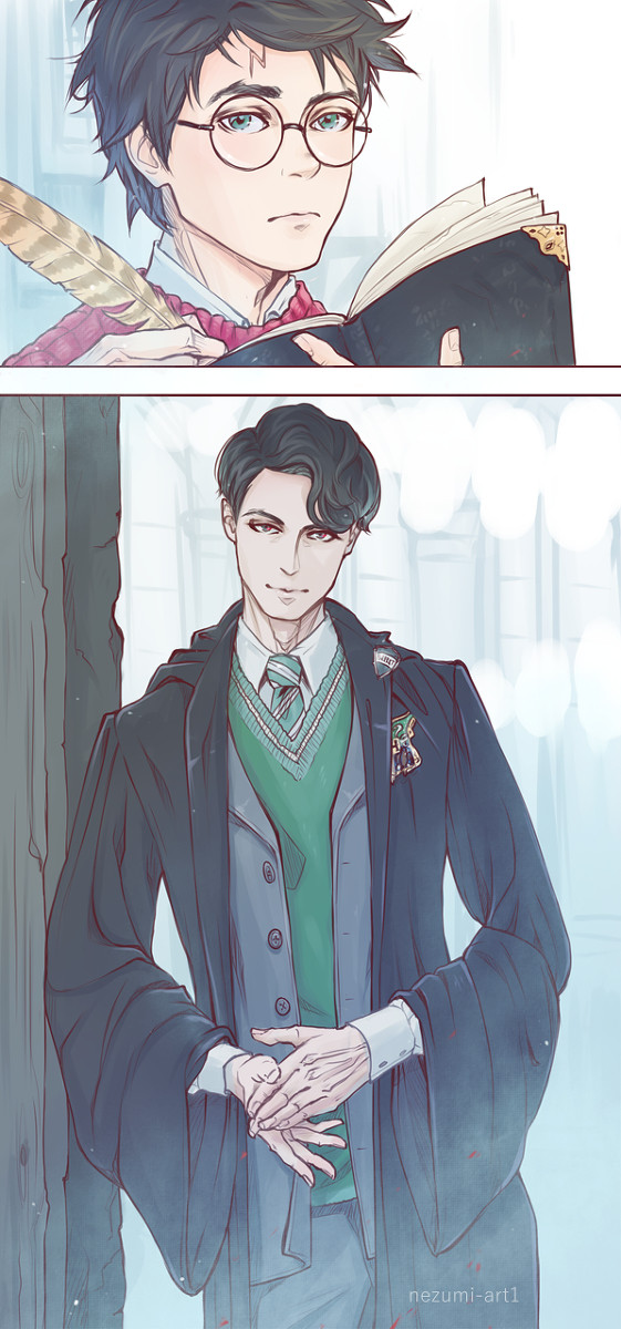 Harry Potter and Tom Riddle
