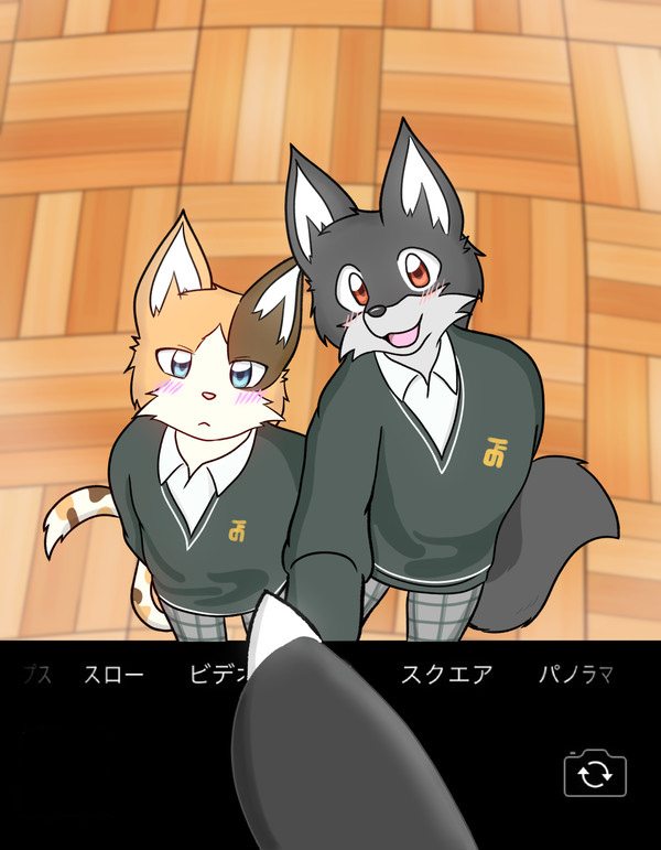 2019-2