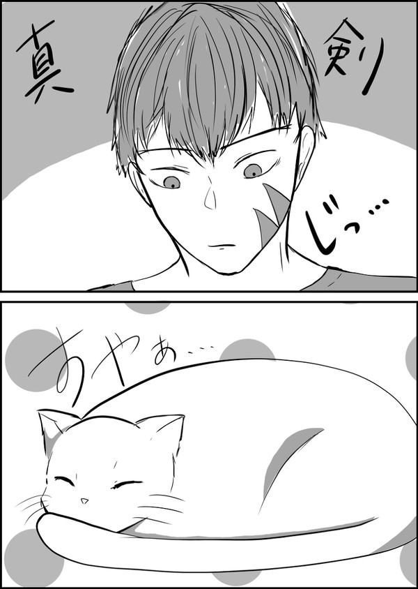 Twitterまとめ
