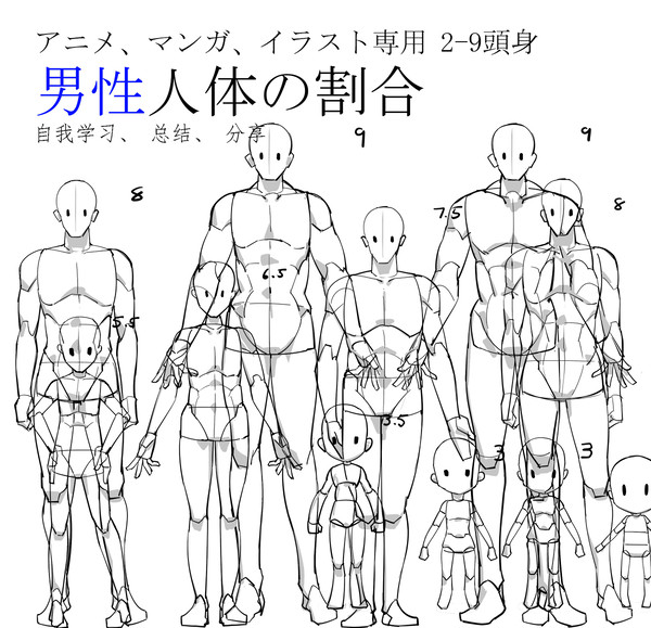 汎用型男性2-9頭身人体の割合