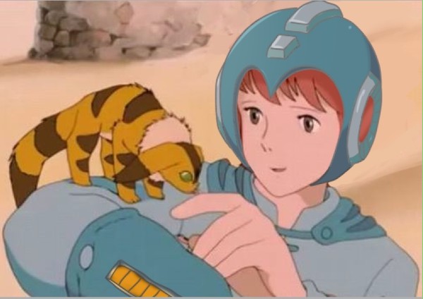 ナウシカメガマン