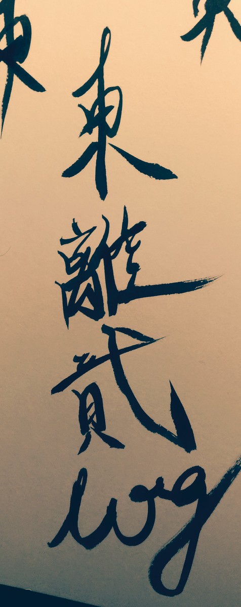 東離LOG(圖+漫畫)