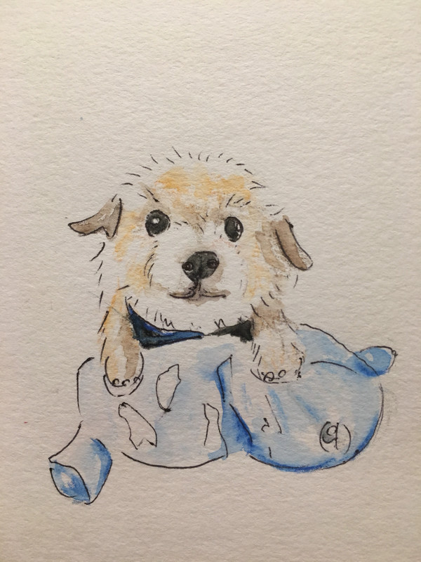 愛犬を漫画化しようと思ったが元がぬいぐるみすぎてする必要なかった