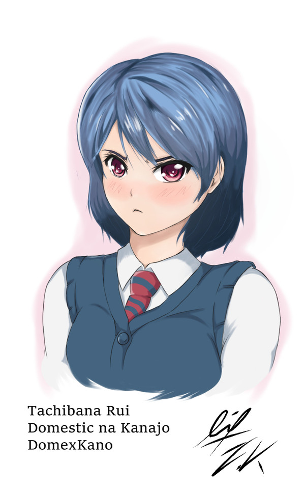 Tachibana Rui Domestic Na Kanojo