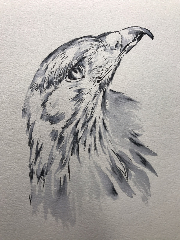 Eagle
