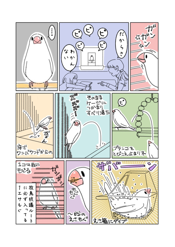 放鳥抗議ルート