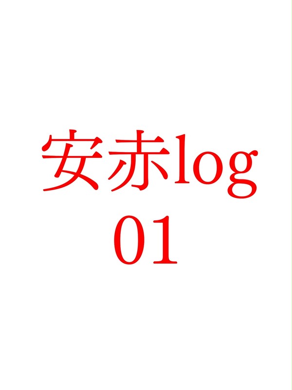 安赤ログ１