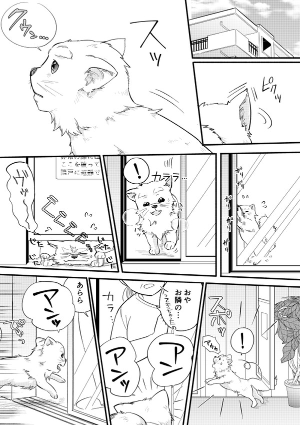 ハロがふるやさんを助ける番