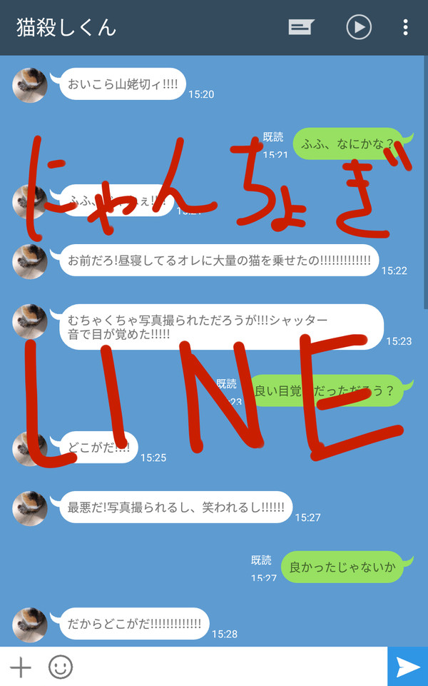 にゃんちょぎLINE
