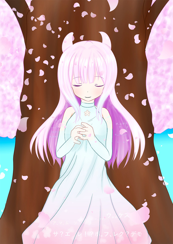 万年桜のウワサ