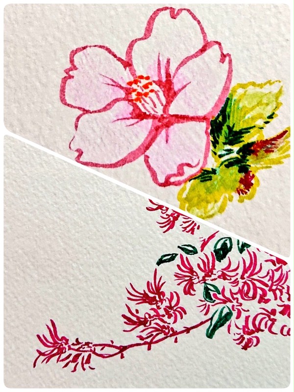 春の花