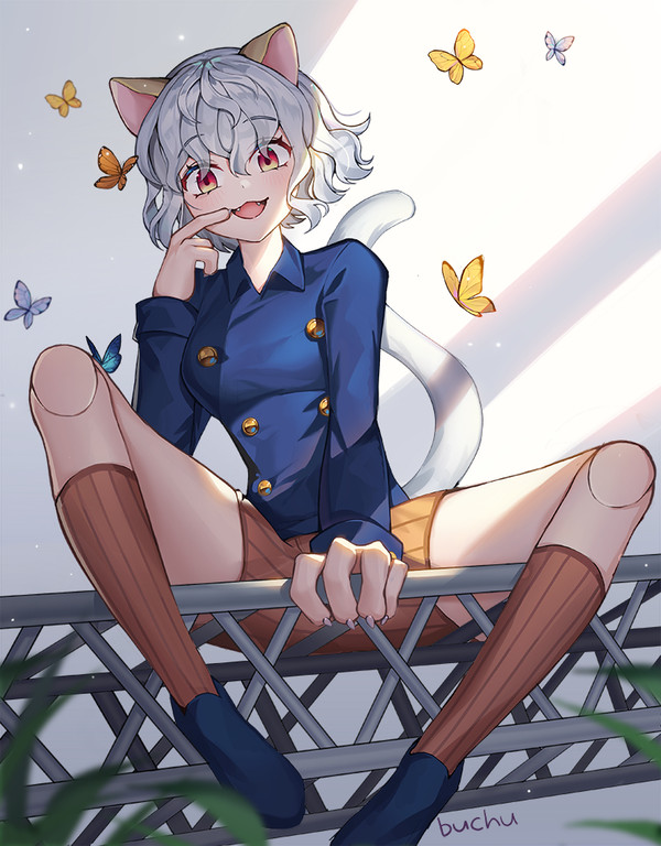 🐱