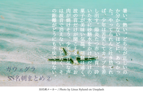 ガウェグラSS名刺まとめ②