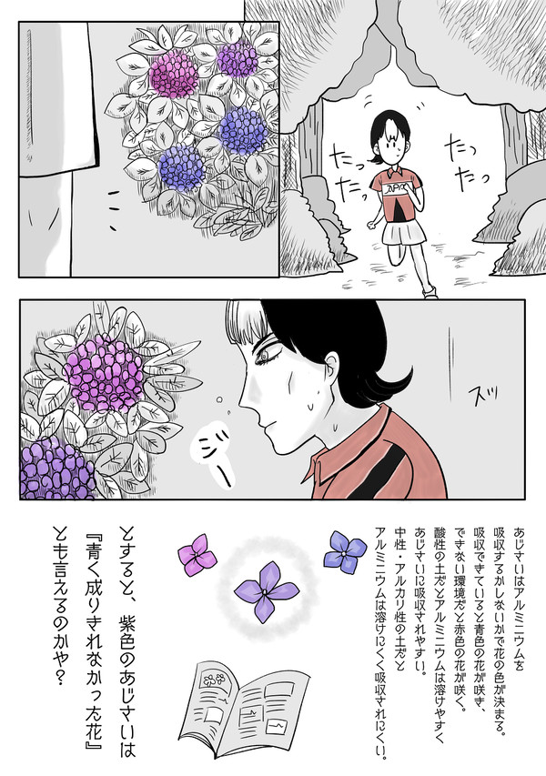 紫の歩幅