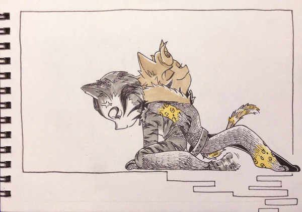 DVD猫2