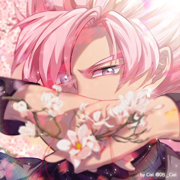 DB :: 春、桜 、ロゼ