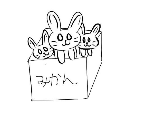 rabbit in a box