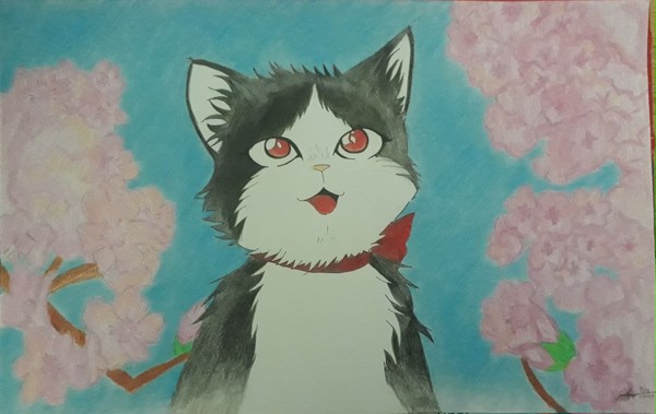 Haru 🐈💙