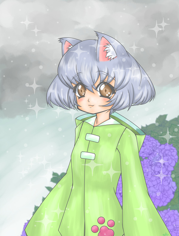 雨と猫