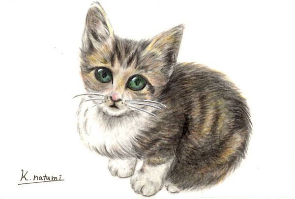 子猫の見つめる瞳