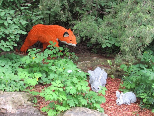 Stalking Fox