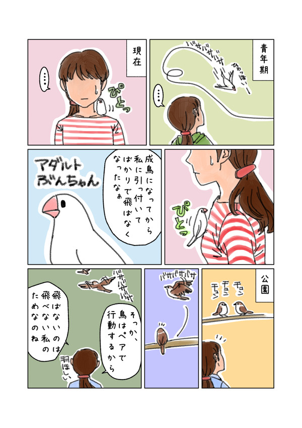 飛ばなくなったぶんちゃん