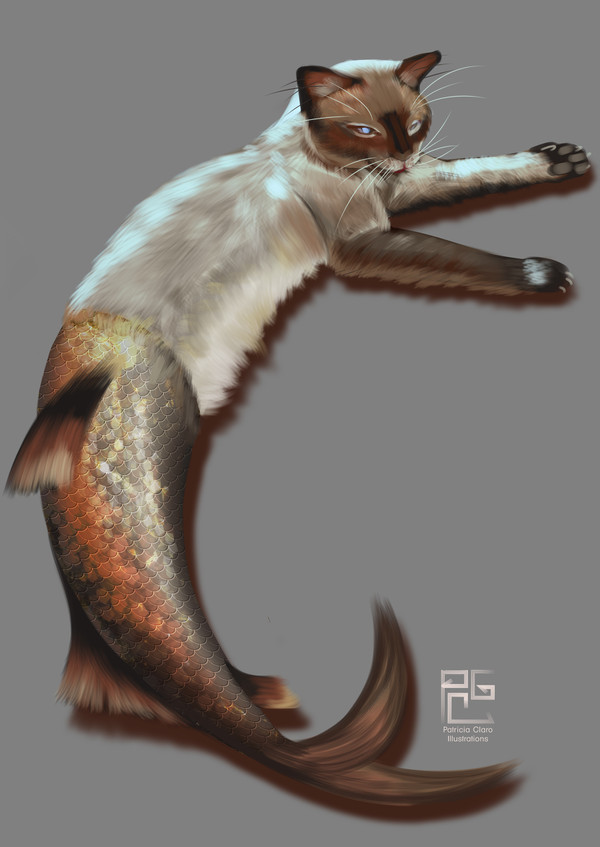 MerMay 2019 Day 20 - Cat