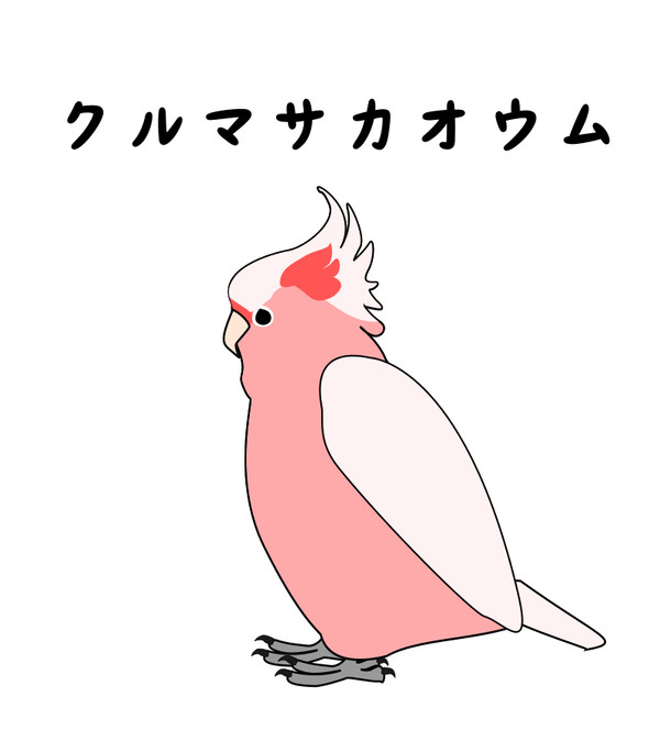 クルマサカオウム