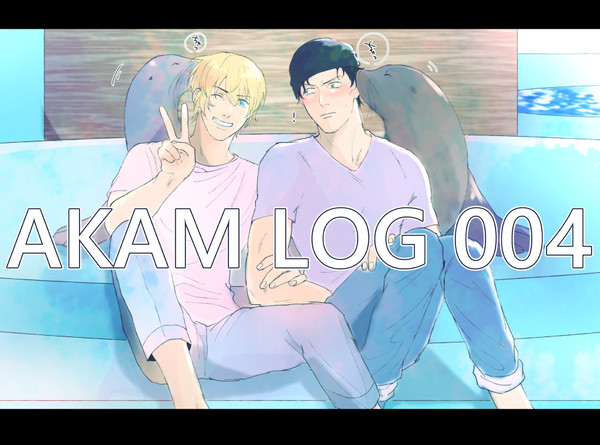 AKAM_LOG_004